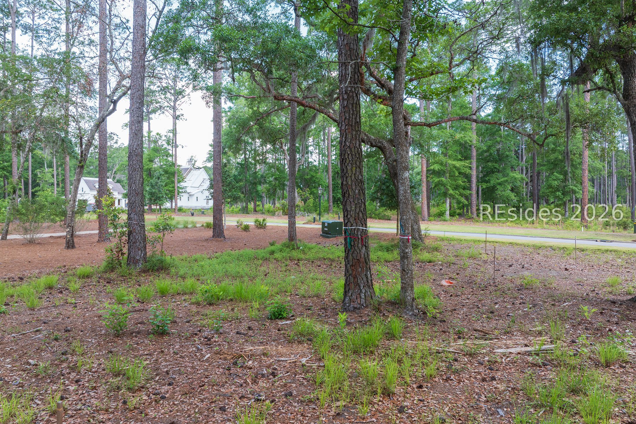 67 Lupine Road Bluffton, SC 29910 - Photo 6 of 19