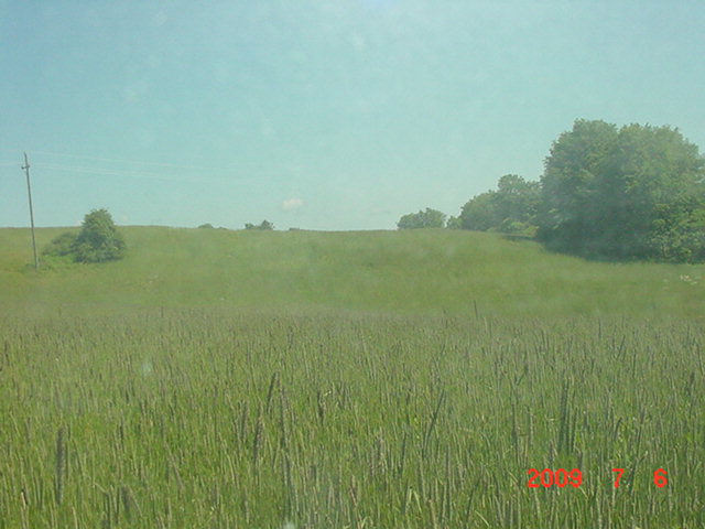 0 Stever Rd/co Route Avoca, NY 14809 - Photo 1 of 1