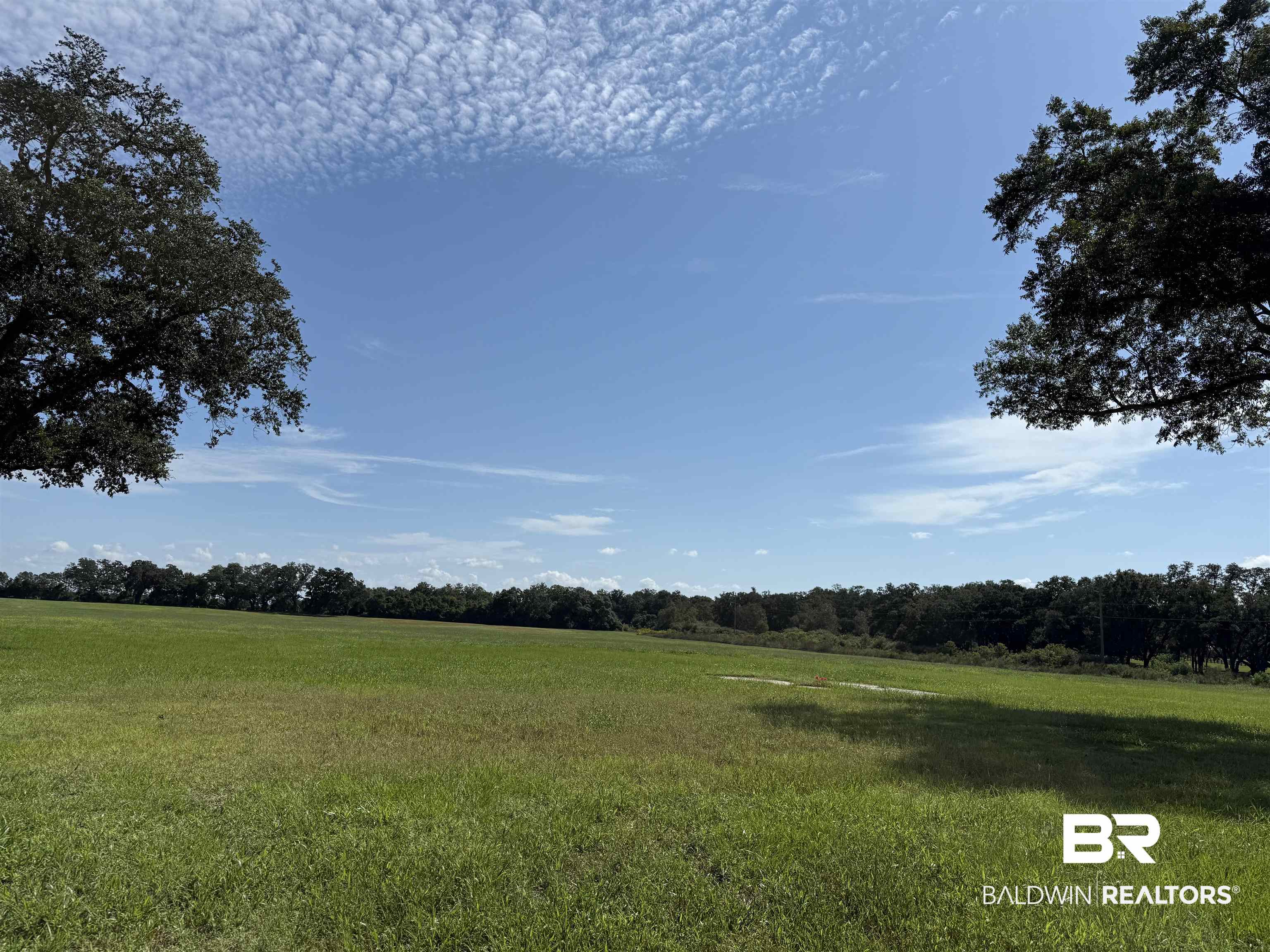 View of green lawn featuring a wooded view and a view of rural / pastoral area