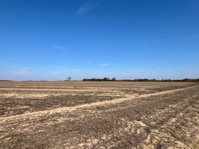 Undisclosed Address Headland, AL 36345 - Photo 19 of 36