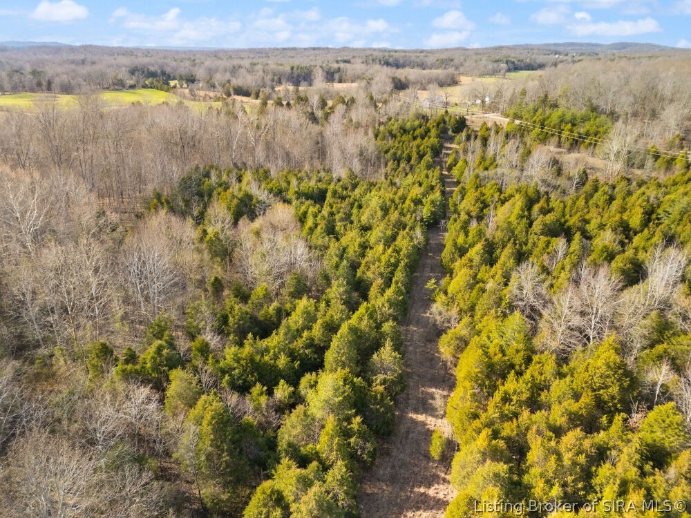 Tract 3 Buck Creek Valley Road Southeast Corydon, IN 47112 - Photo 14 of 26