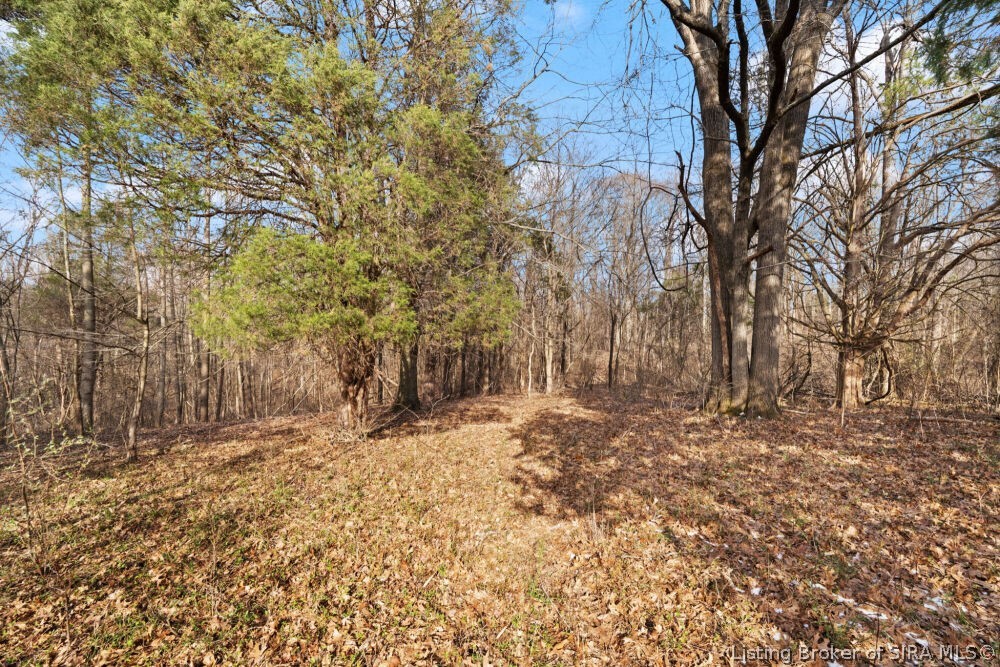 Tract 3 Buck Creek Valley Road Southeast Corydon, IN 47112 - Photo 15 of 26