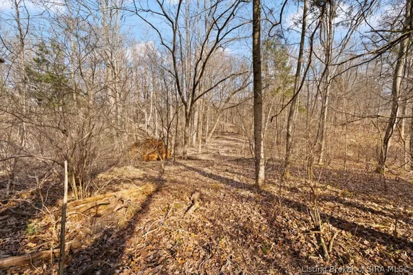 $1 | Tract 3 Buck Creek Valley Road Southeast, Corydon, IN 47112
