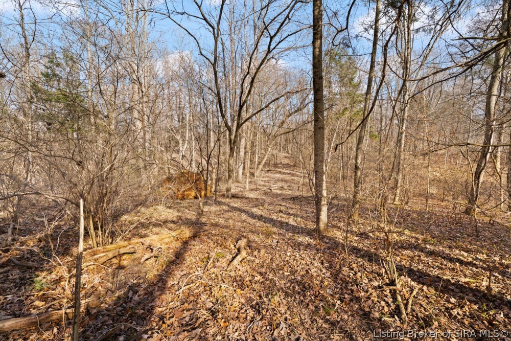 Tract 3 Buck Creek Valley Road Southeast Corydon, IN 47112 - Photo 16 of 26