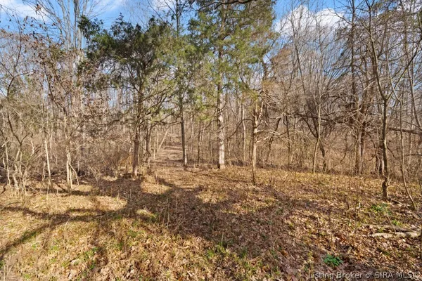 $1 | Tract 3 Buck Creek Valley Road Southeast, Corydon, IN 47112
