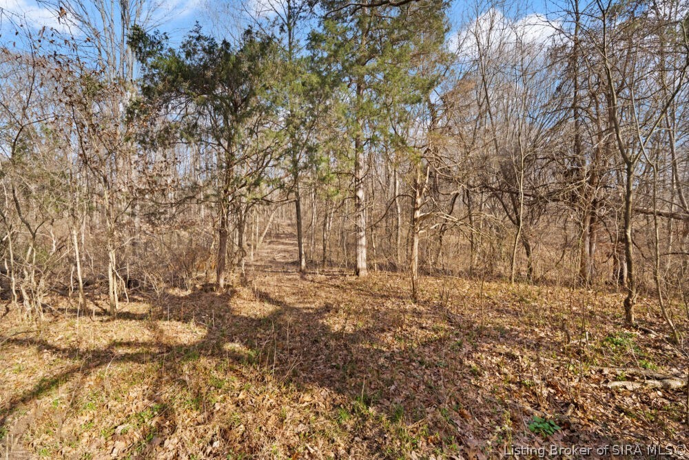 Tract 3 Buck Creek Valley Road Southeast Corydon, IN 47112 - Photo 17 of 26