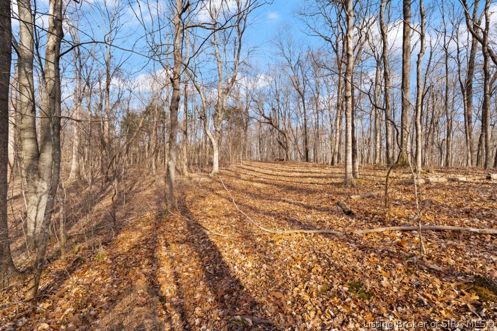 Tract 3 Buck Creek Valley Road Southeast Corydon, IN 47112 - Photo 19 of 26