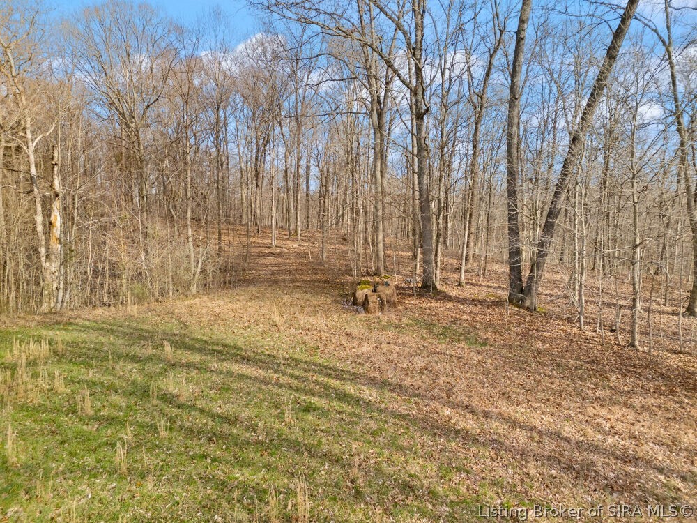Tract 3 Buck Creek Valley Road Southeast Corydon, IN 47112 - Photo 7 of 26