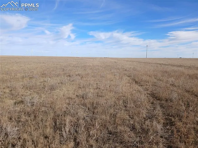a view of a green field