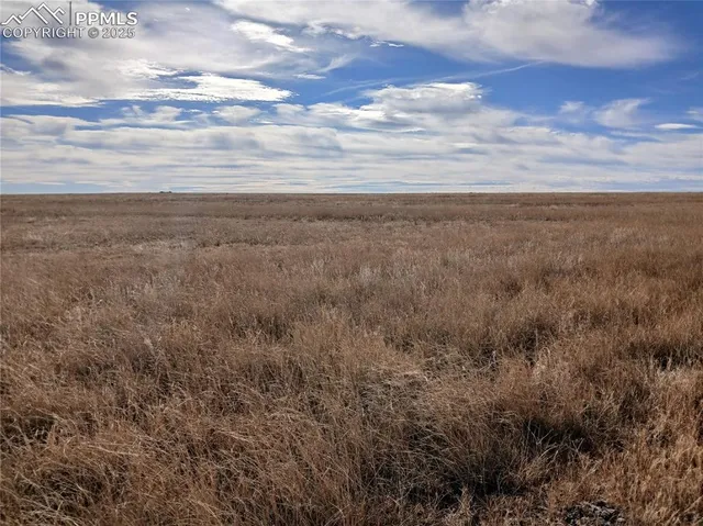 a view of city and ocean