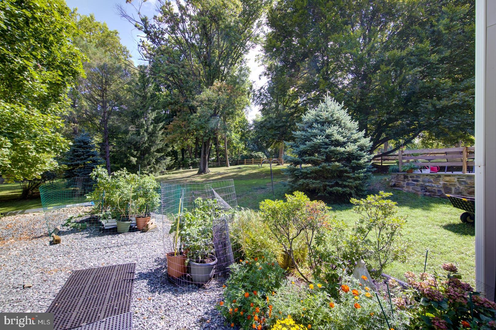 269 Cassatt Road Berwyn, PA 19312 - Photo 7 of 26 Back yard