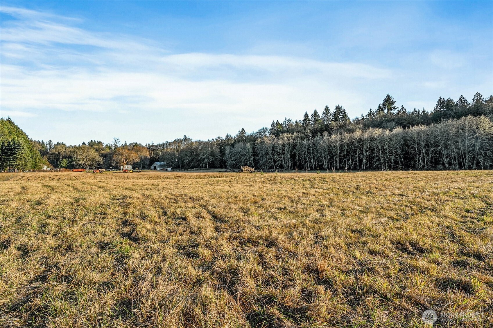 0 Collins Road Toledo, WA 98591 - Photo 21 of 25