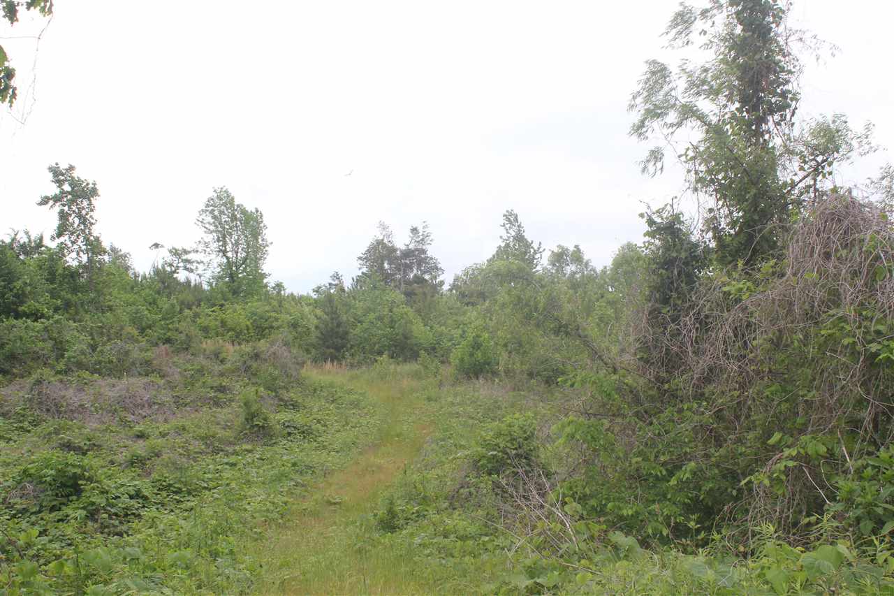 700 Victoria Road Byhalia, MS 38611 - Photo 11 of 25 Gallery Image 11