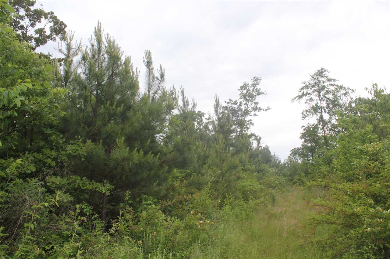 700 Victoria Road Byhalia, MS 38611 - Photo 18 of 25 Gallery Image 18