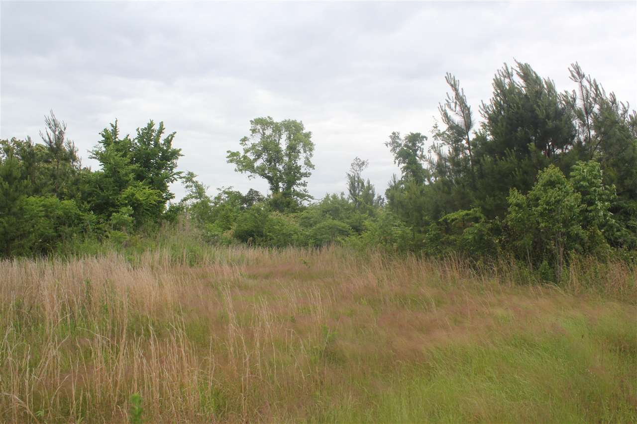 700 Victoria Road Byhalia, MS 38611 - Photo 20 of 25 Gallery Image 20