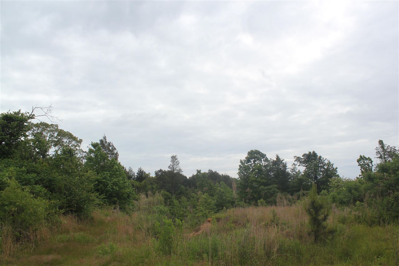 700 Victoria Road Byhalia, MS 38611 - Photo 21 of 25 Gallery Image 21