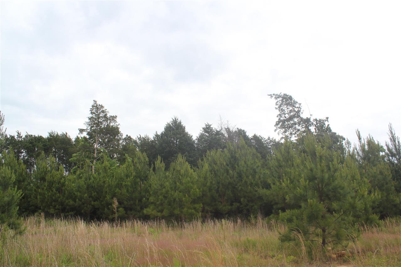 700 Victoria Road Byhalia, MS 38611 - Photo 24 of 25 Gallery Image 24