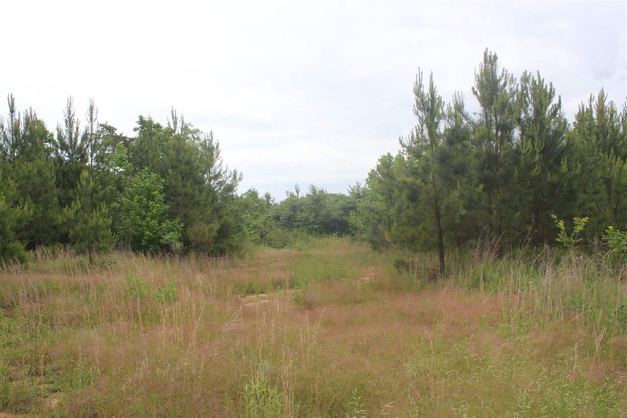 700 Victoria Road Byhalia, MS 38611 - Photo 25 of 25 Gallery Image 25