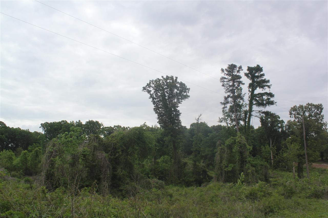 700 Victoria Road Byhalia, MS 38611 - Photo 8 of 25 Gallery Image 8