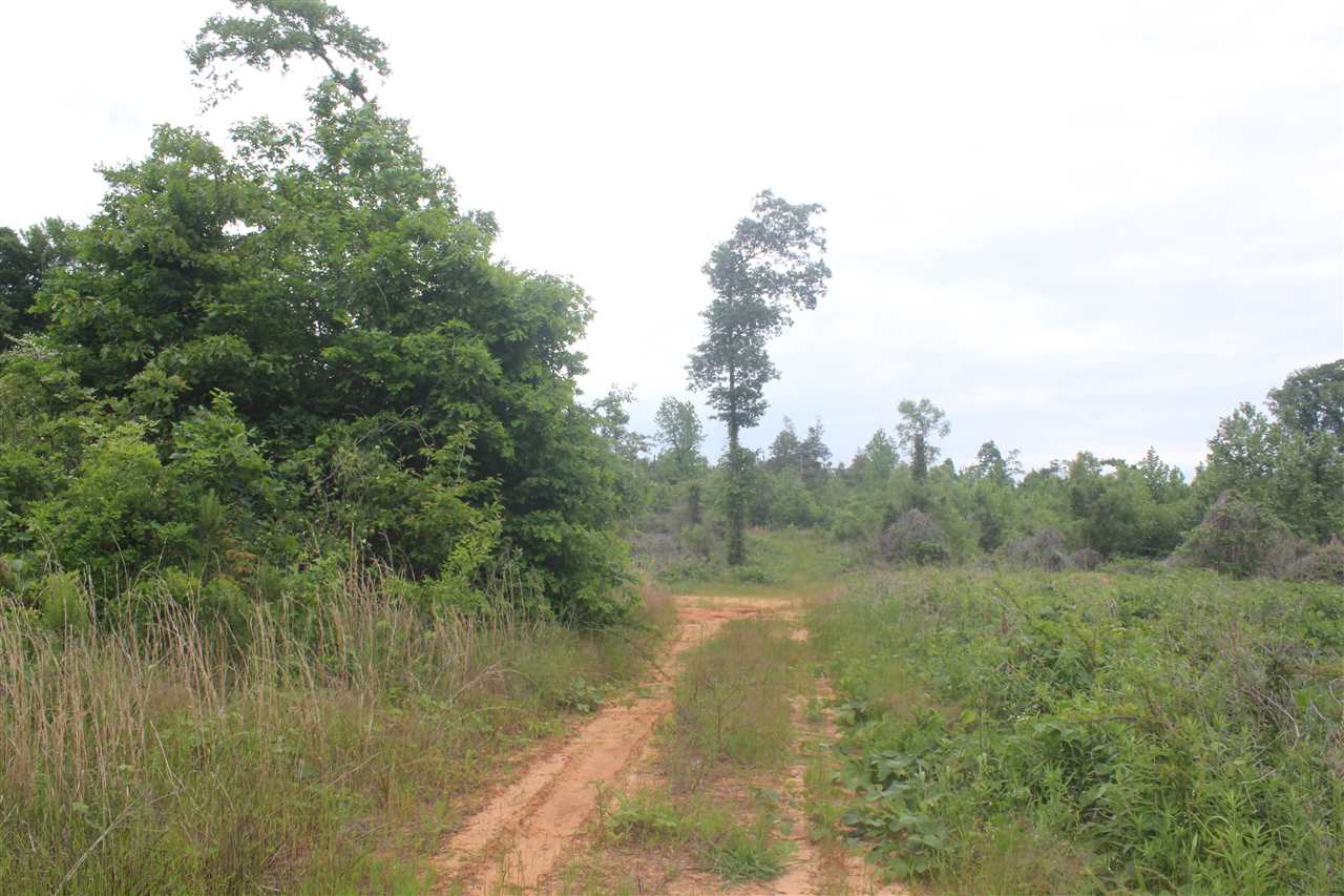 700 Victoria Road Byhalia, MS 38611 - Photo 9 of 25 Gallery Image 9