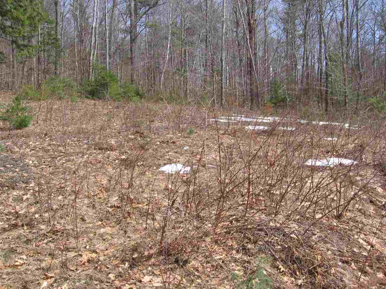 343 Tuttle Hill Road Canaan, NH 03741 - Photo 3 of 5