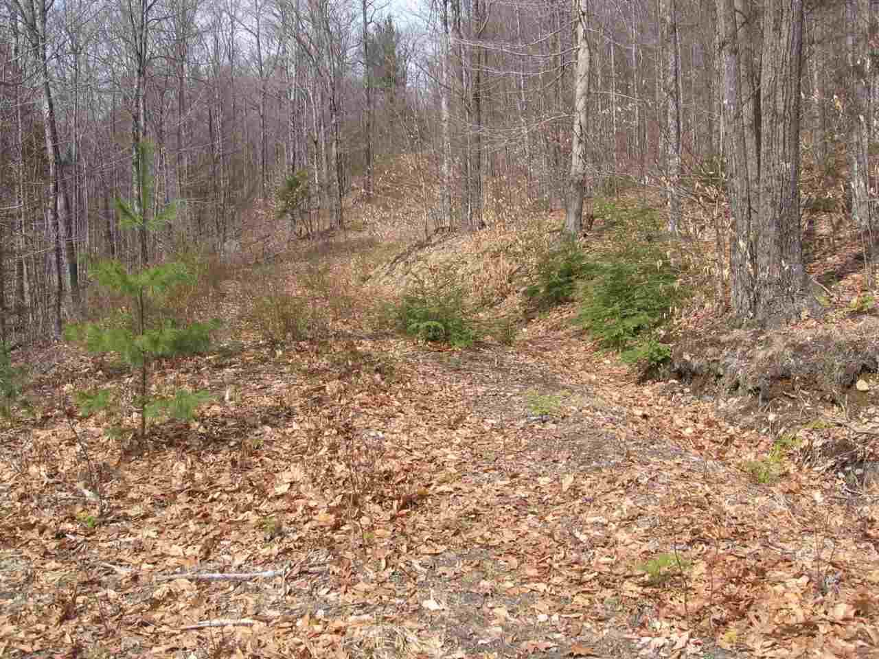 343 Tuttle Hill Road Canaan, NH 03741 - Photo 4 of 5