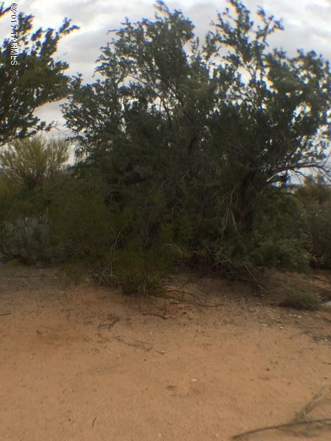 11001 West Ina Road, Unit 2 Tucson, AZ 85743 - Photo 30 of 40