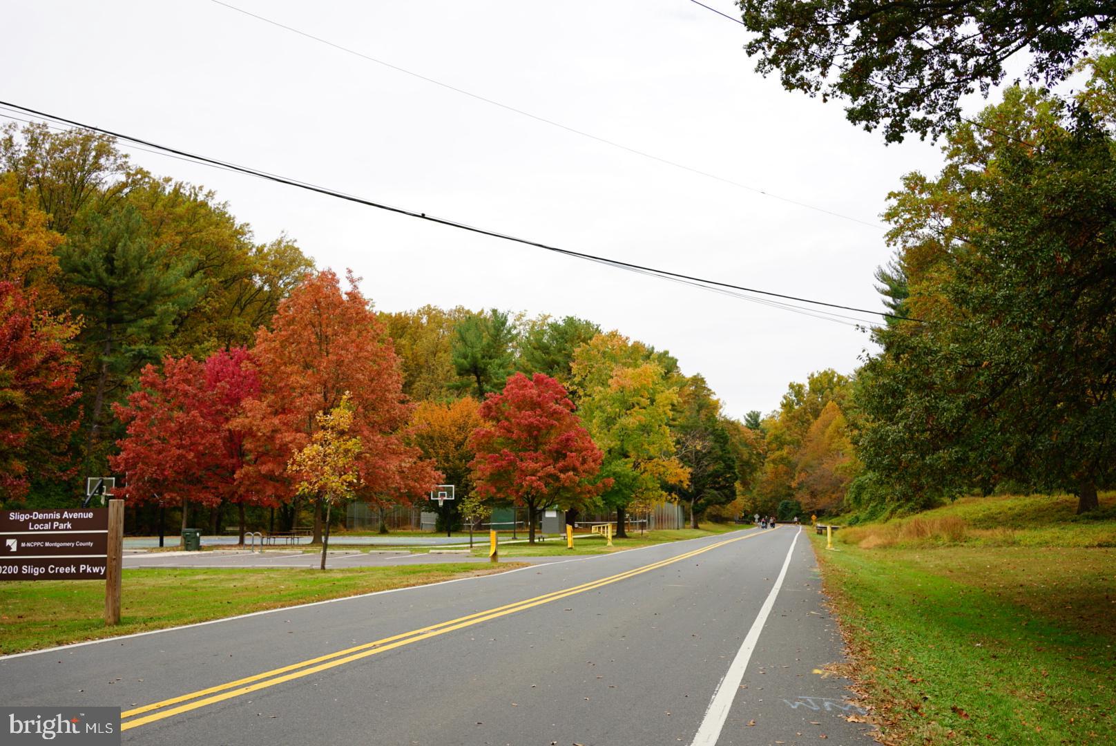 1506 Hanby Street Silver Spring, MD 20902 - Photo 50 of 64