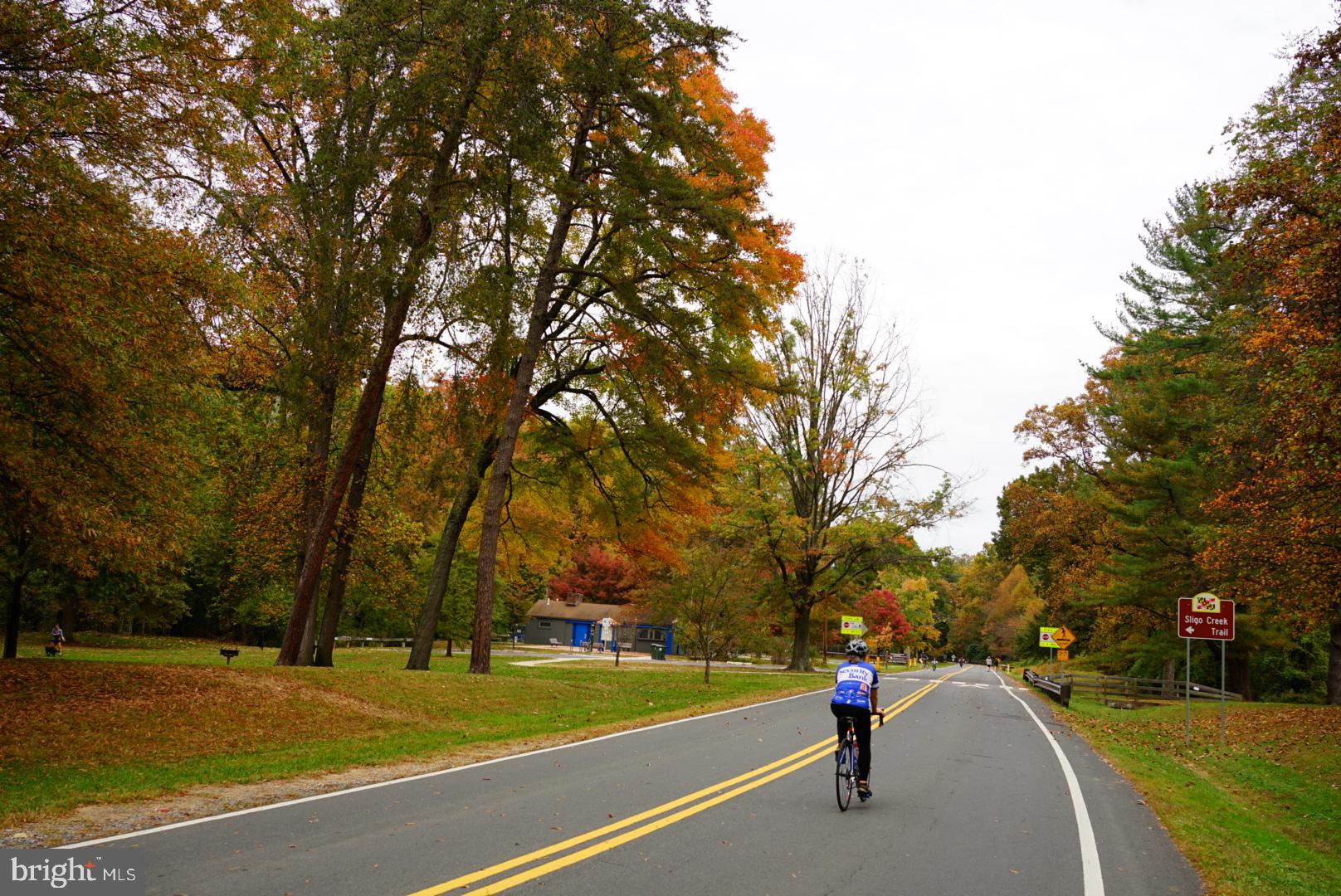 1506 Hanby Street Silver Spring, MD 20902 - Photo 51 of 64