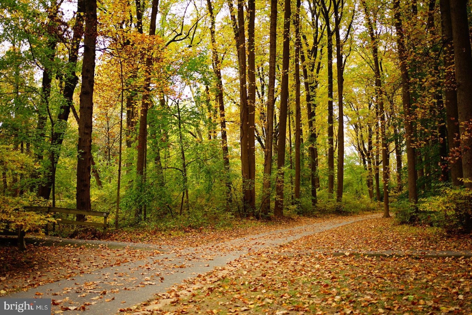 1506 Hanby Street Silver Spring, MD 20902 - Photo 52 of 64