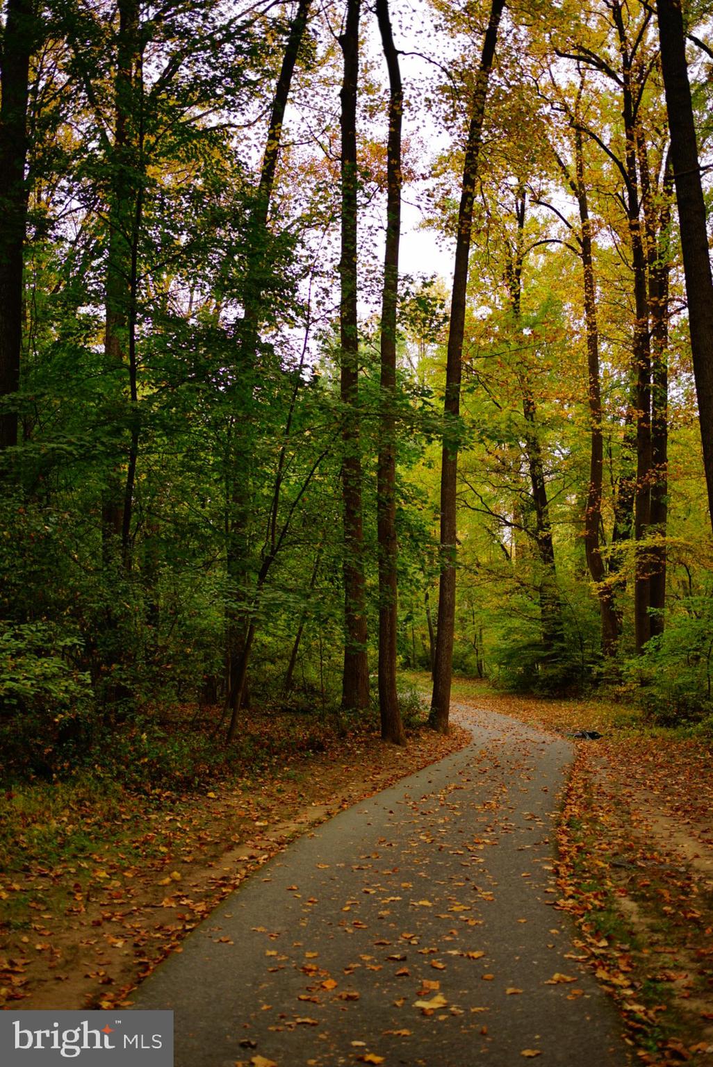1506 Hanby Street Silver Spring, MD 20902 - Photo 53 of 64