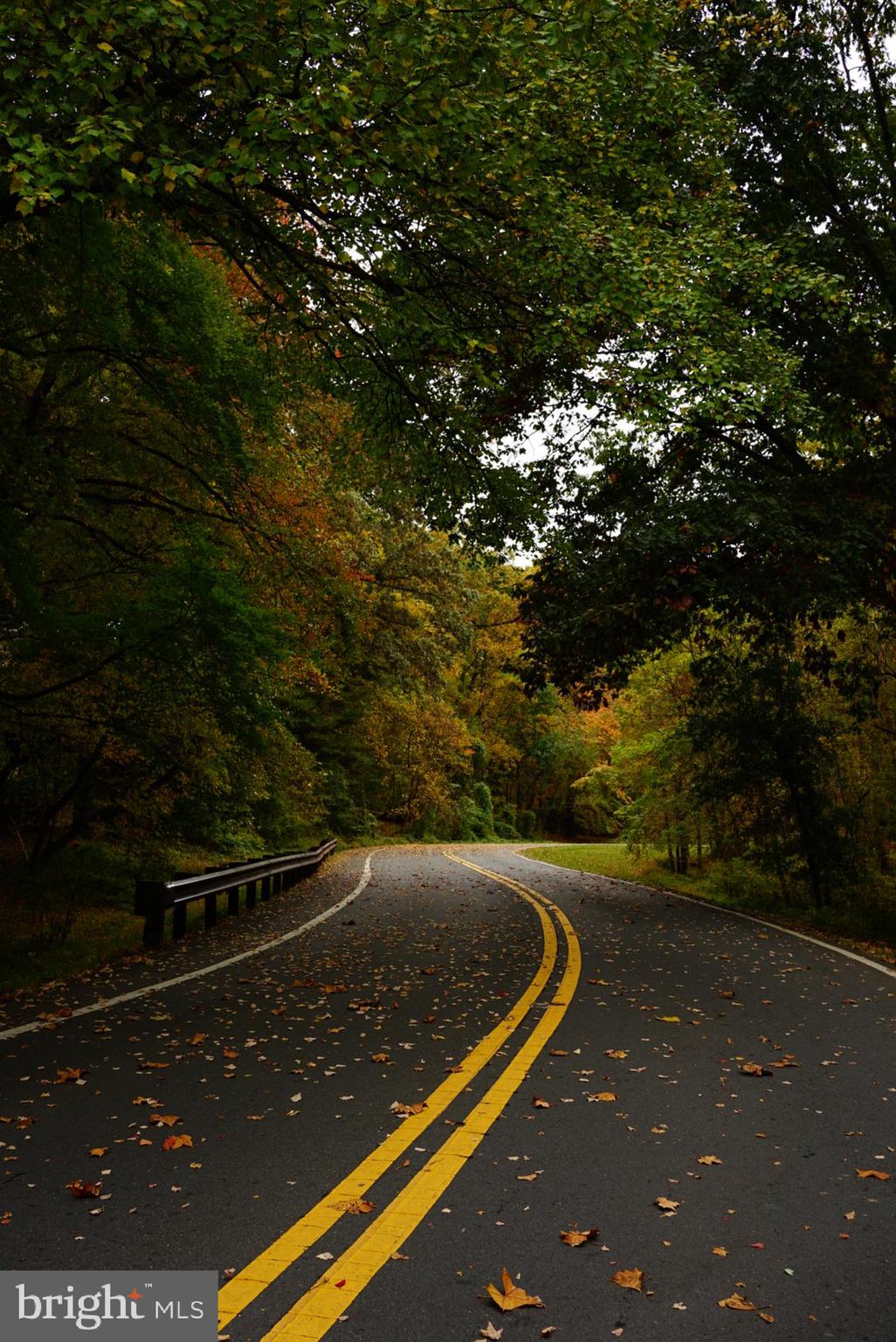 1506 Hanby Street Silver Spring, MD 20902 - Photo 54 of 64