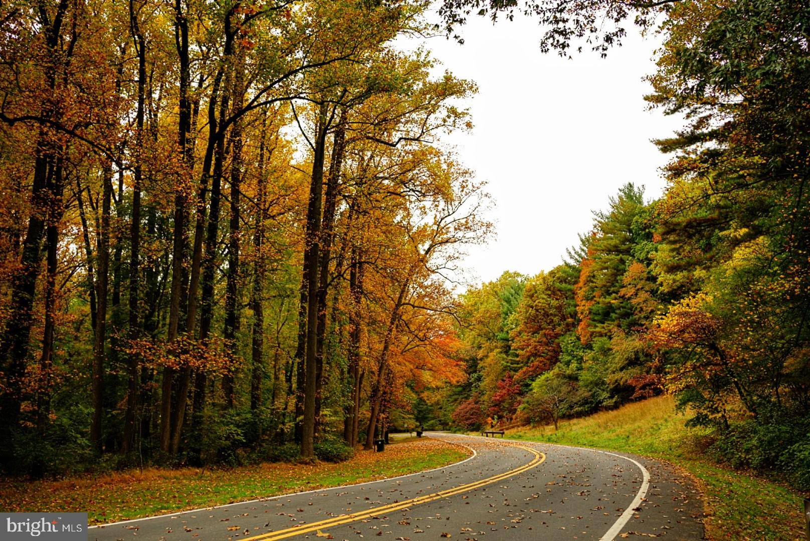 1506 Hanby Street Silver Spring, MD 20902 - Photo 62 of 64