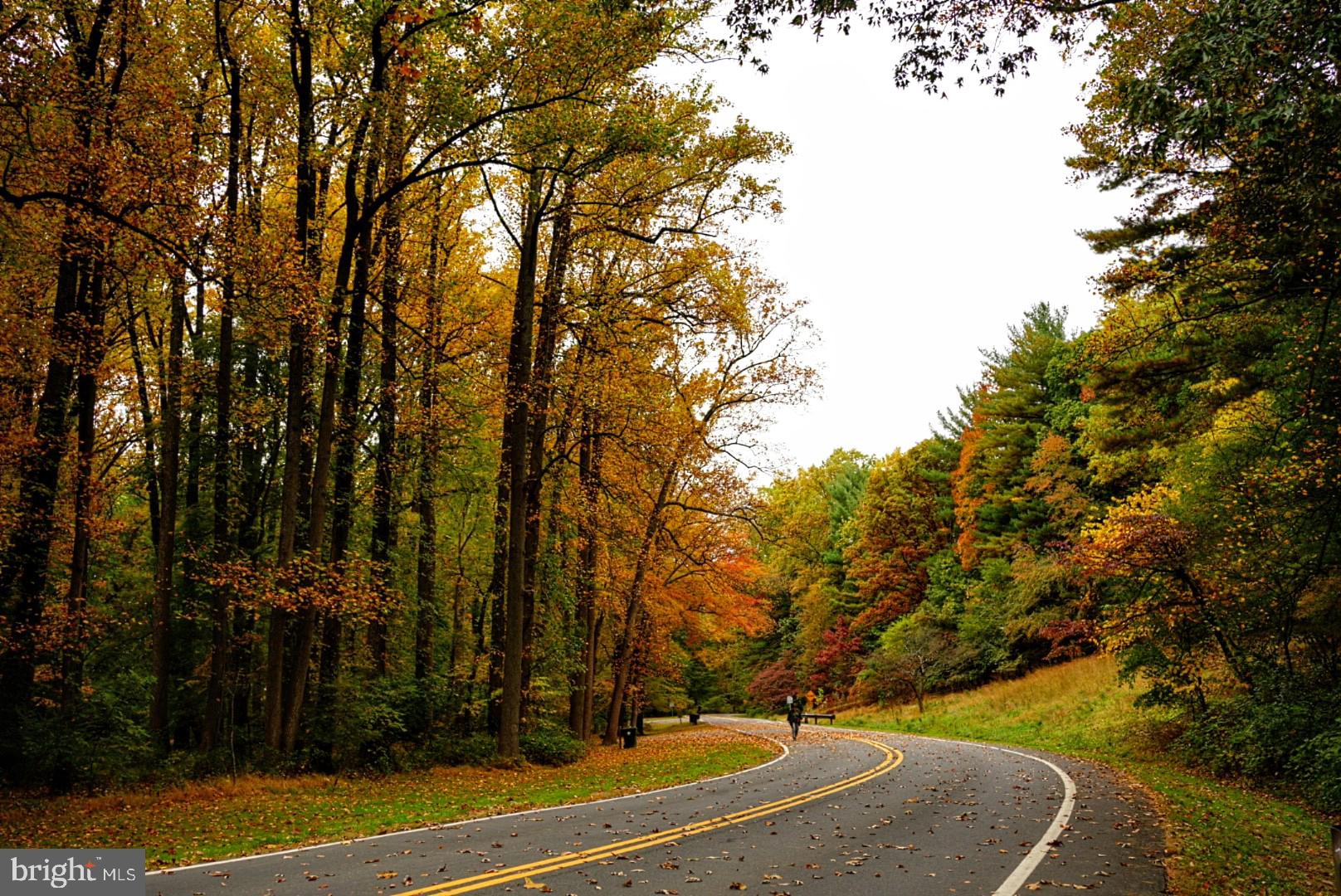 1506 Hanby Street Silver Spring, MD 20902 - Photo 63 of 64
