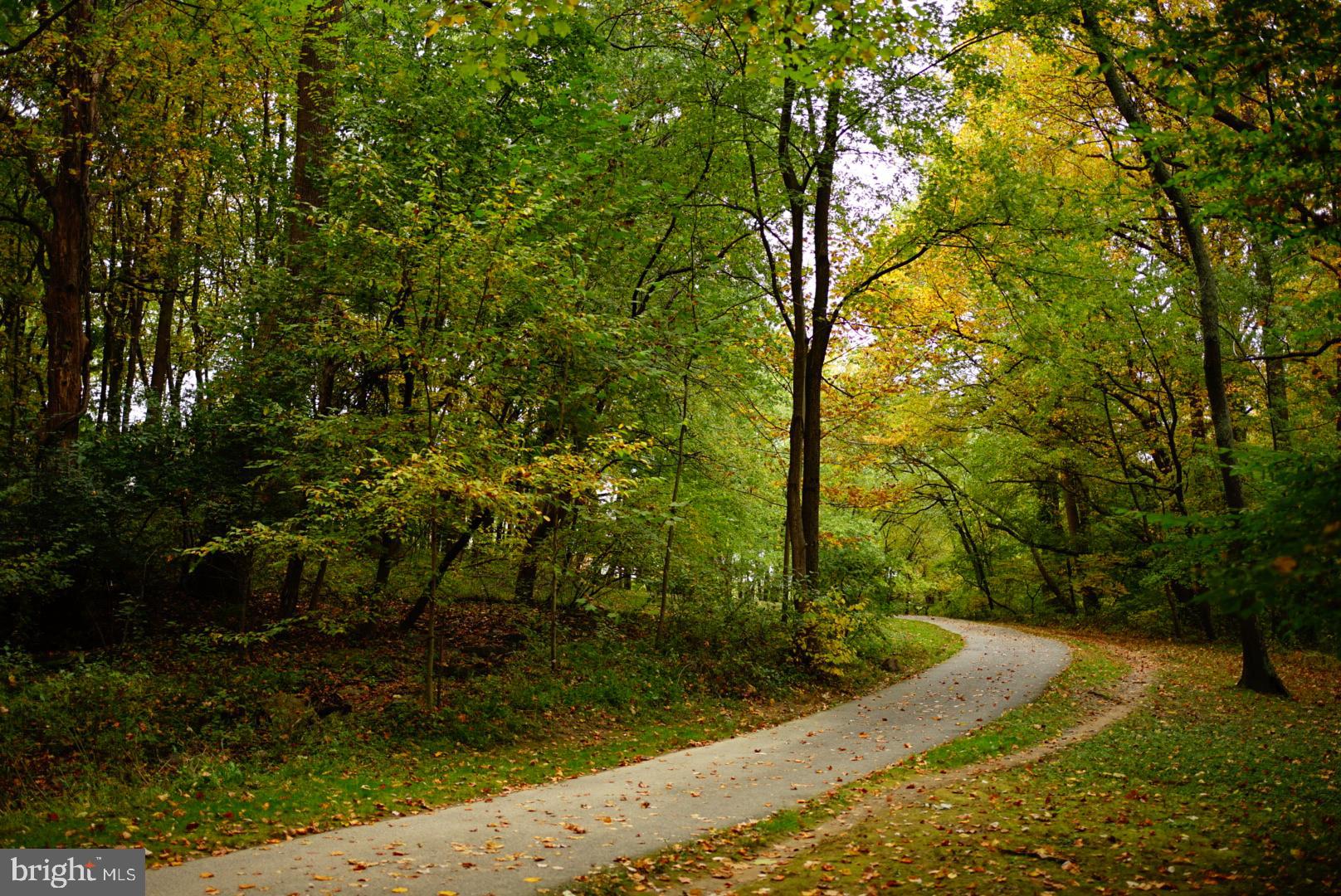 1506 Hanby Street Silver Spring, MD 20902 - Photo 64 of 64