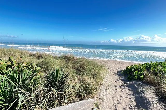 a view of beach and ocean