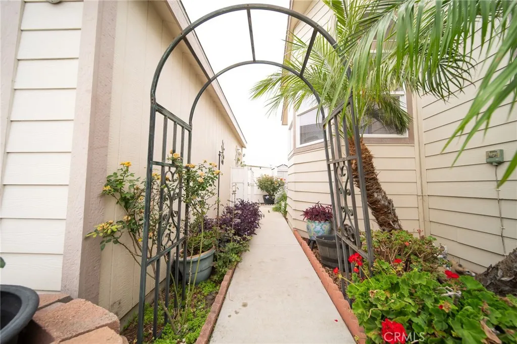 49 Pine Via Anaheim, CA 92802 - Photo 7 of 23 a view of a potted plants next to a yard
