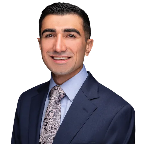 Ariya Hajiheidari, Agent in  - Compass