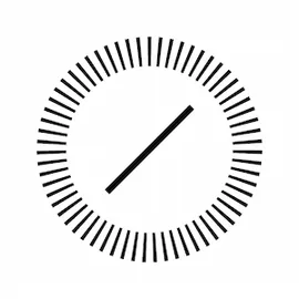 Lisa Borsotti-Clark, Agent in  - Compass