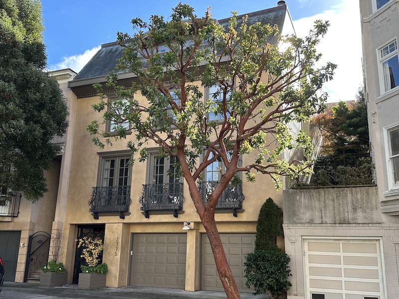 $9,000,000 | 2775 Green St | San Francisco