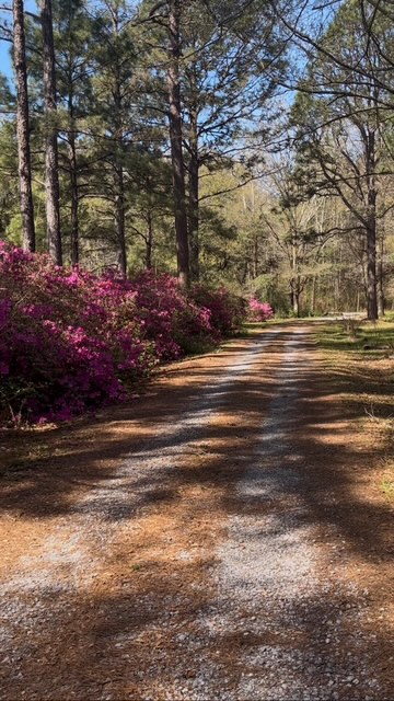 18080 St. Josephs Way