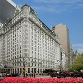 $19,950,000 | 1 Central Park S, Unit 509