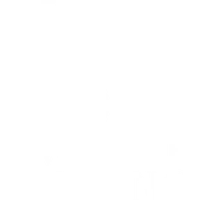 Walter Liang