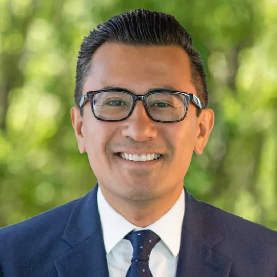 Louis Heystek, Agent in  - Compass