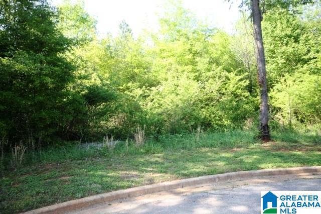 0 Almaroad Place Southwest, Unit 107 Jacksonville, AL 36265 - Photo 31 of 31