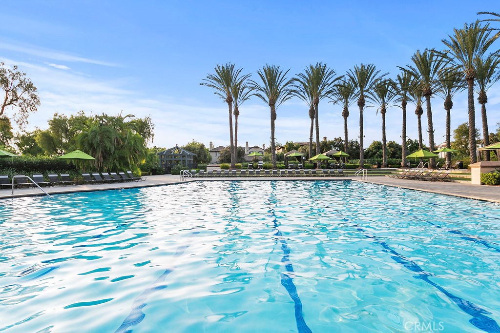 44 Modesto Irvine, CA 92602 - Photo 32 of 49 a view of swimming pool with a yard and palm trees