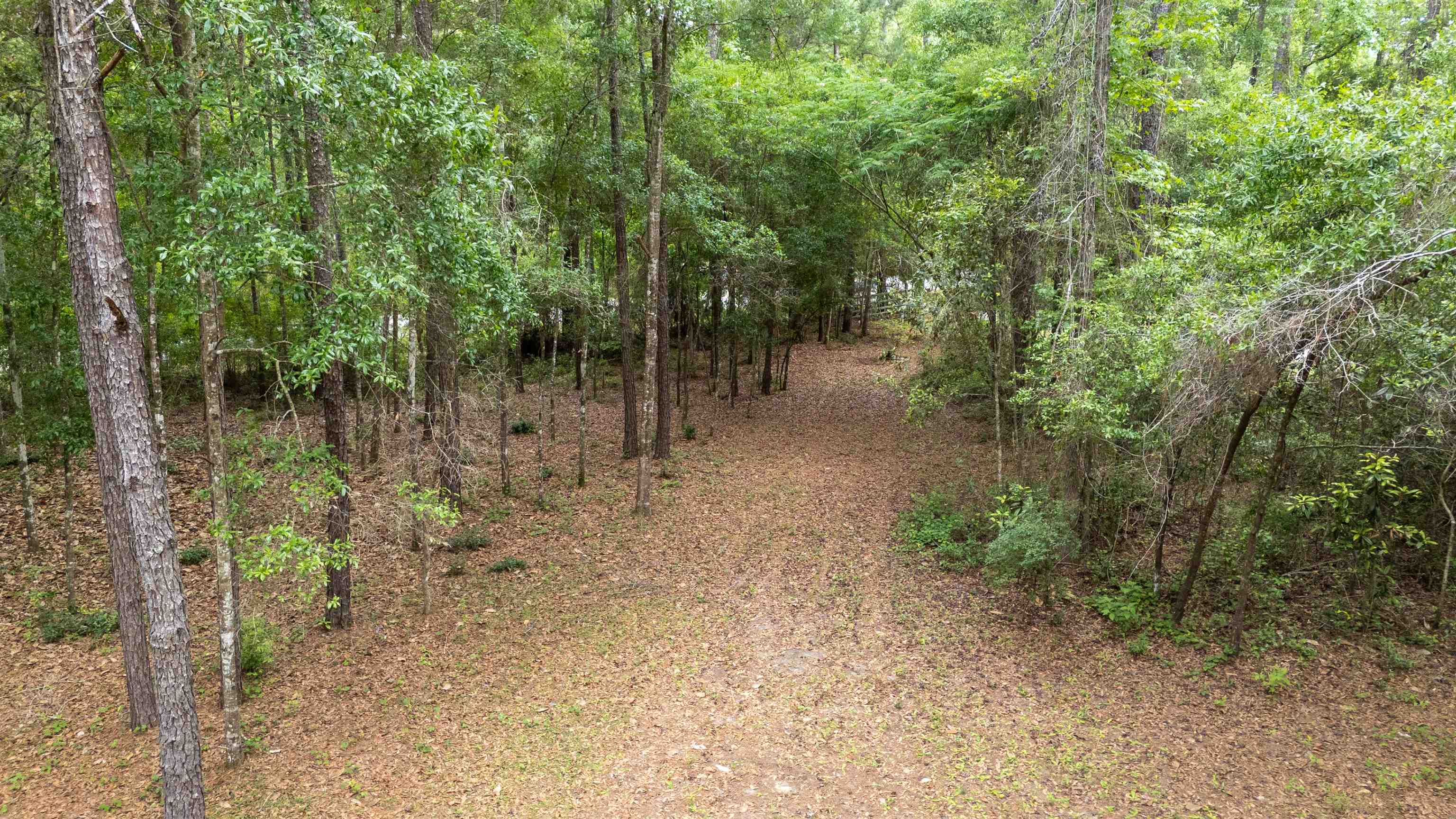 Tram Road Tallahassee, FL 32311 - Photo 14 of 29