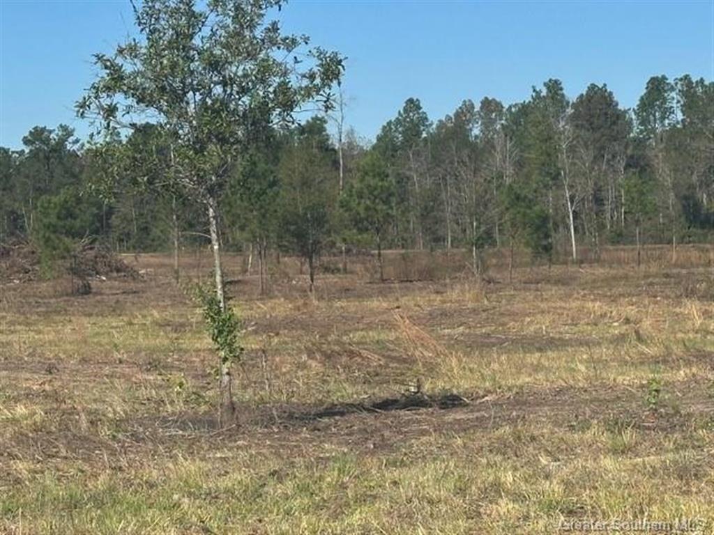 0 Conway Rosteet Road Longville, LA 70652 - Photo 13 of 19