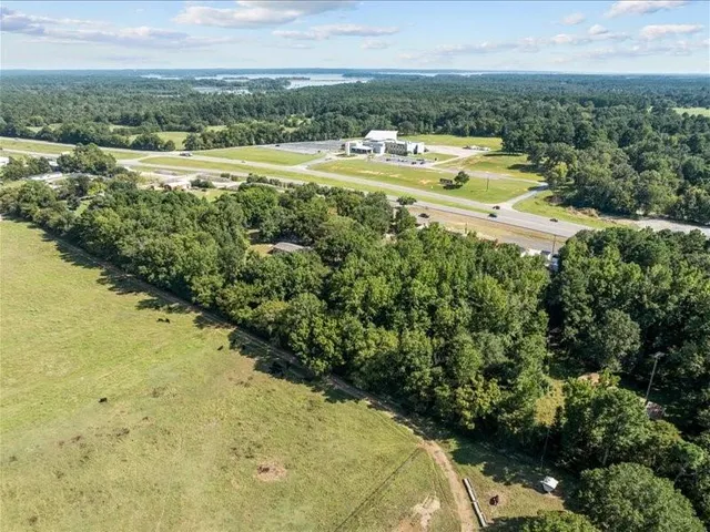 a view of a yard with a tree