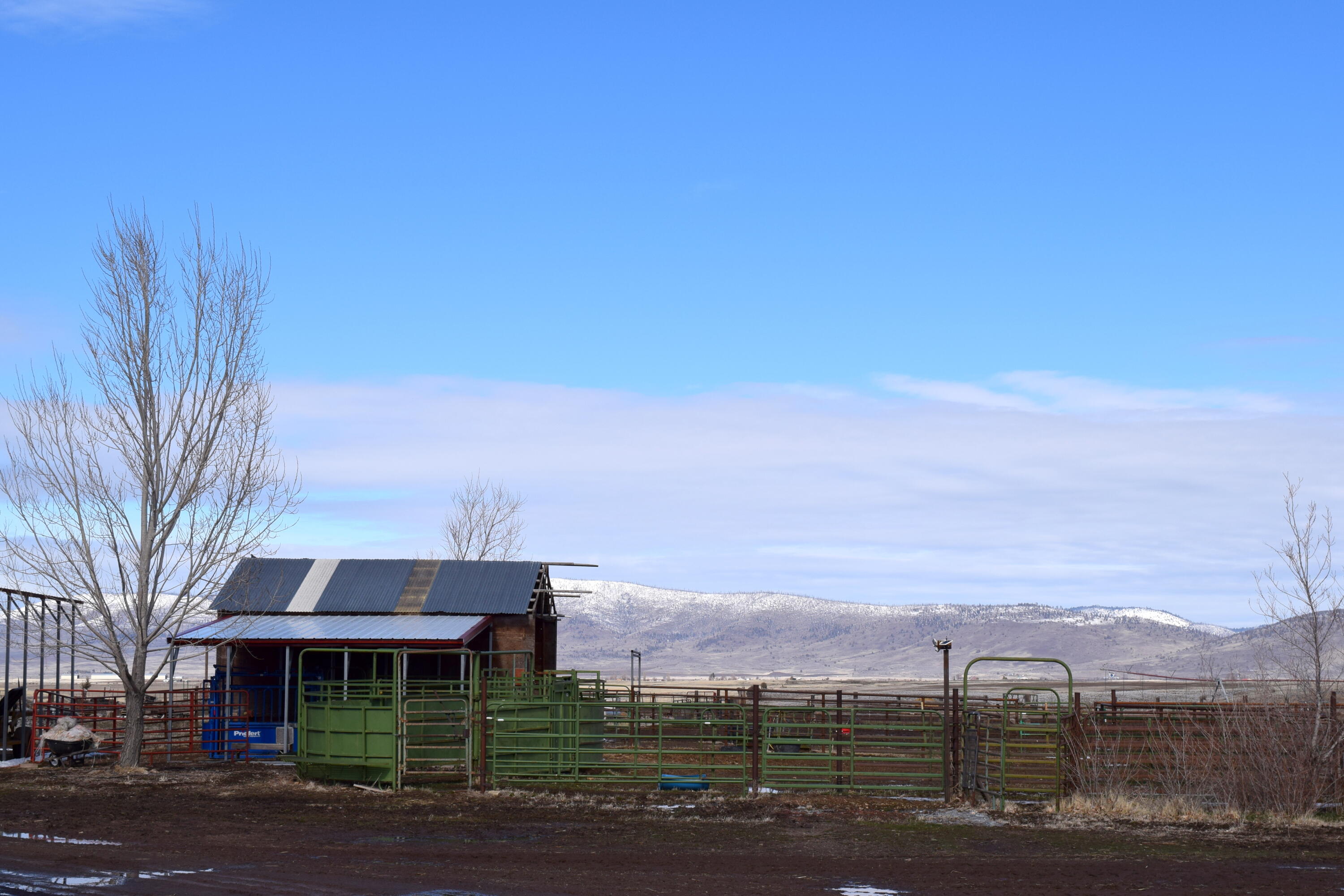 669-105 Susanville Road Adin, CA 96006 - Photo 30 of 53 02-DSC_0393-001